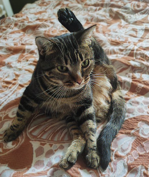 Кайса утверждает, что всему виной природная гибкость и артистичность