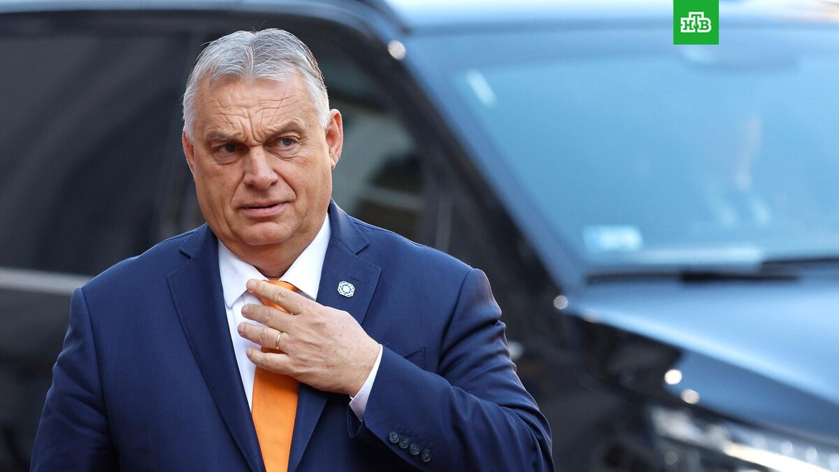    Фото: Associated Press © 2025, Geert Vanden Wijngaert