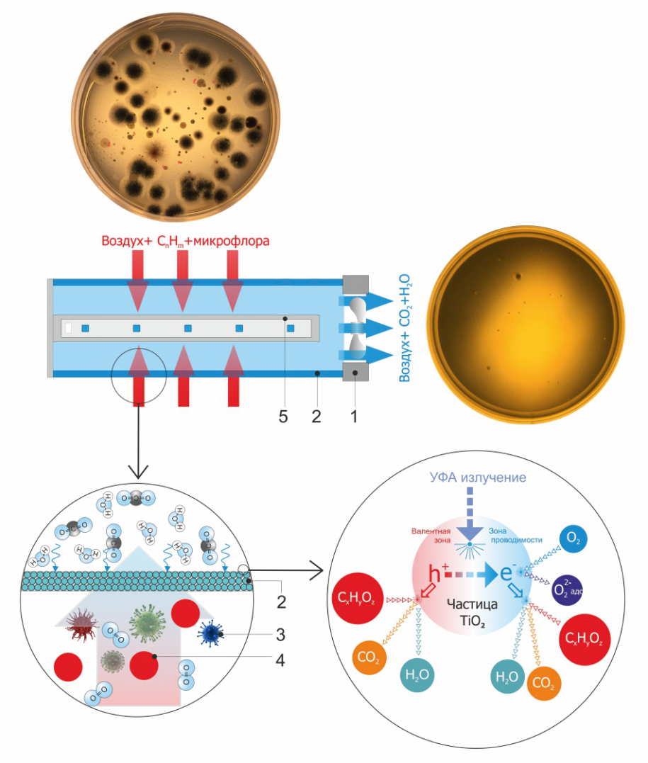 Принцип работы