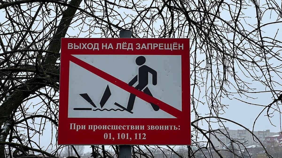    фото: телеканал «Краснодар»