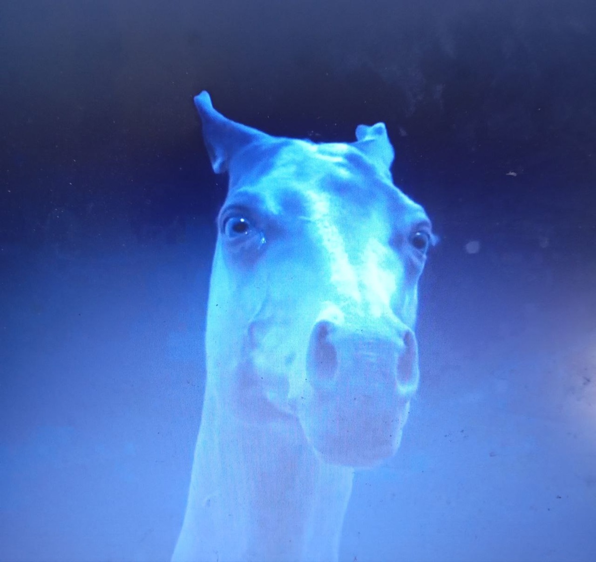 скрин автора