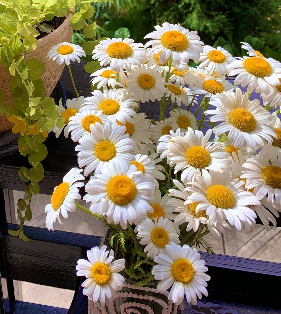 фото Сад в стиле Paradise ®