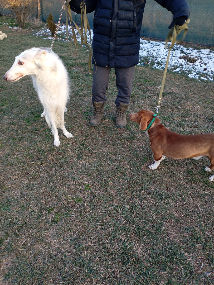 Разве не одинаковые? 