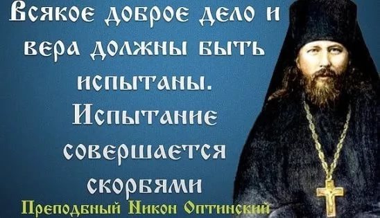 фото из открытого источника Яндекс Картинки.