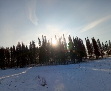 Зимнее солнце. Фото автора.