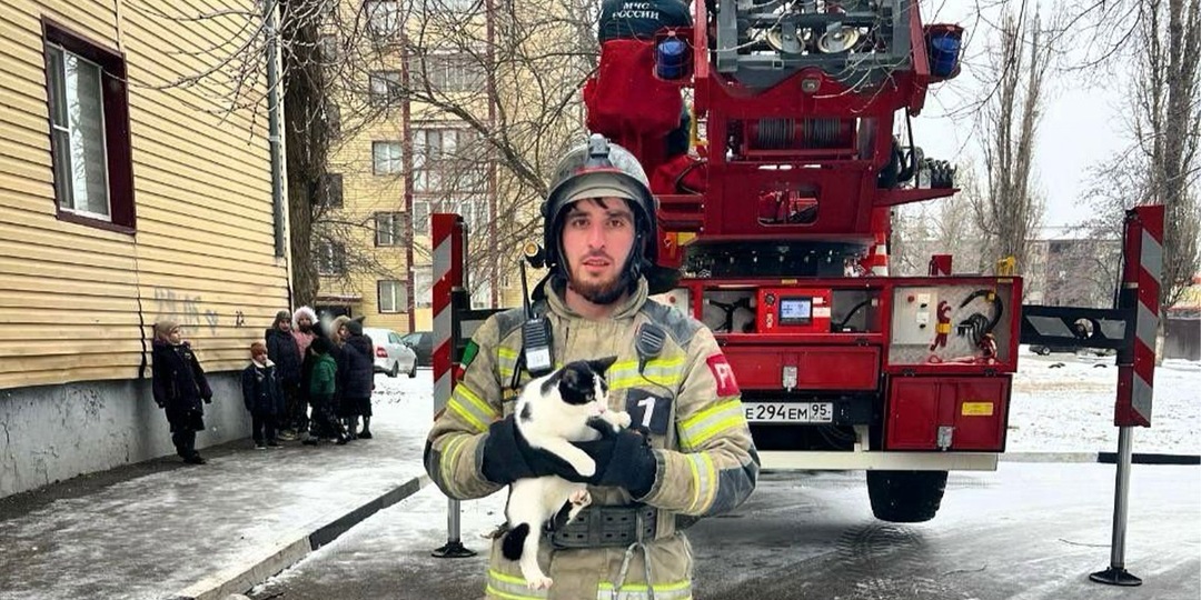 В Грозном спасатели сняли кошку с крыши многоэтажки