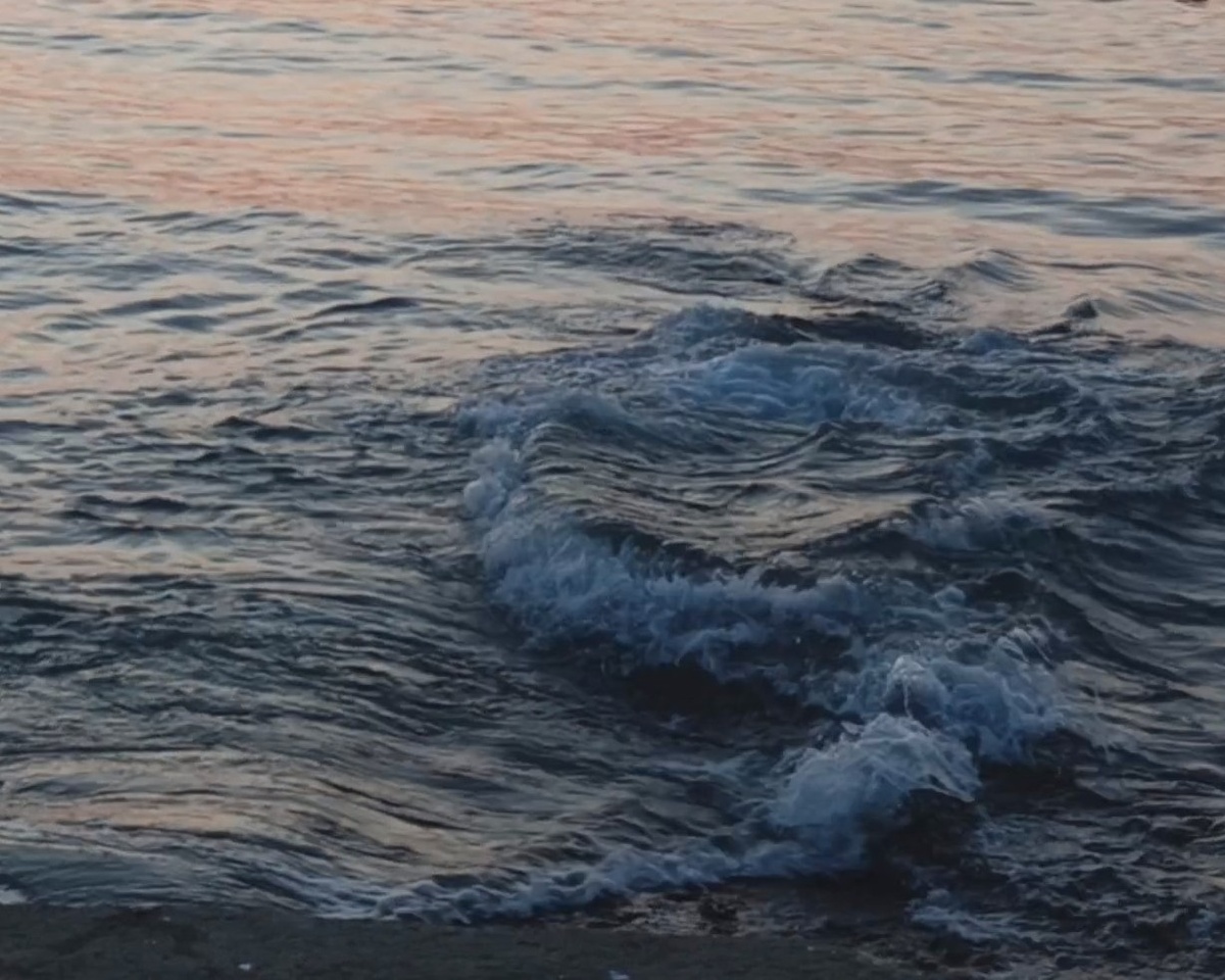 Адлер. Пляж Моне, февраль 2025 г.