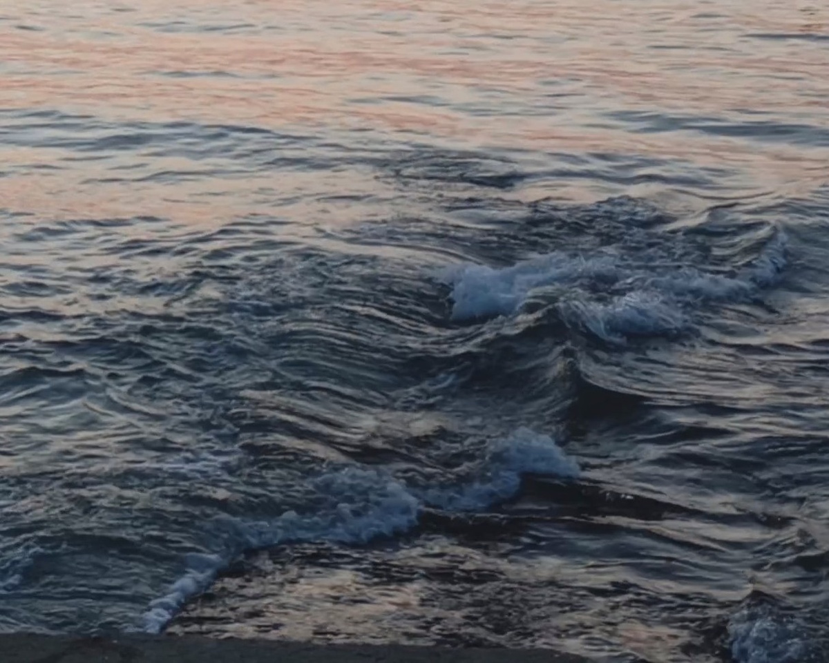 Адлер. Пляж Моне, февраль 2025 г.