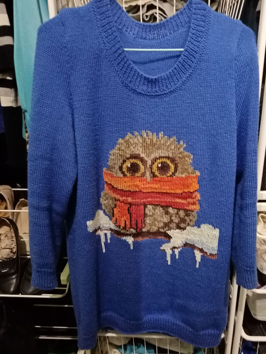 Работа Никитиной Изольды. Вышивка на вязаной кофте нитками Гамма, некоторые цвета не по таблице перевода, а "на глаз" подбирала.