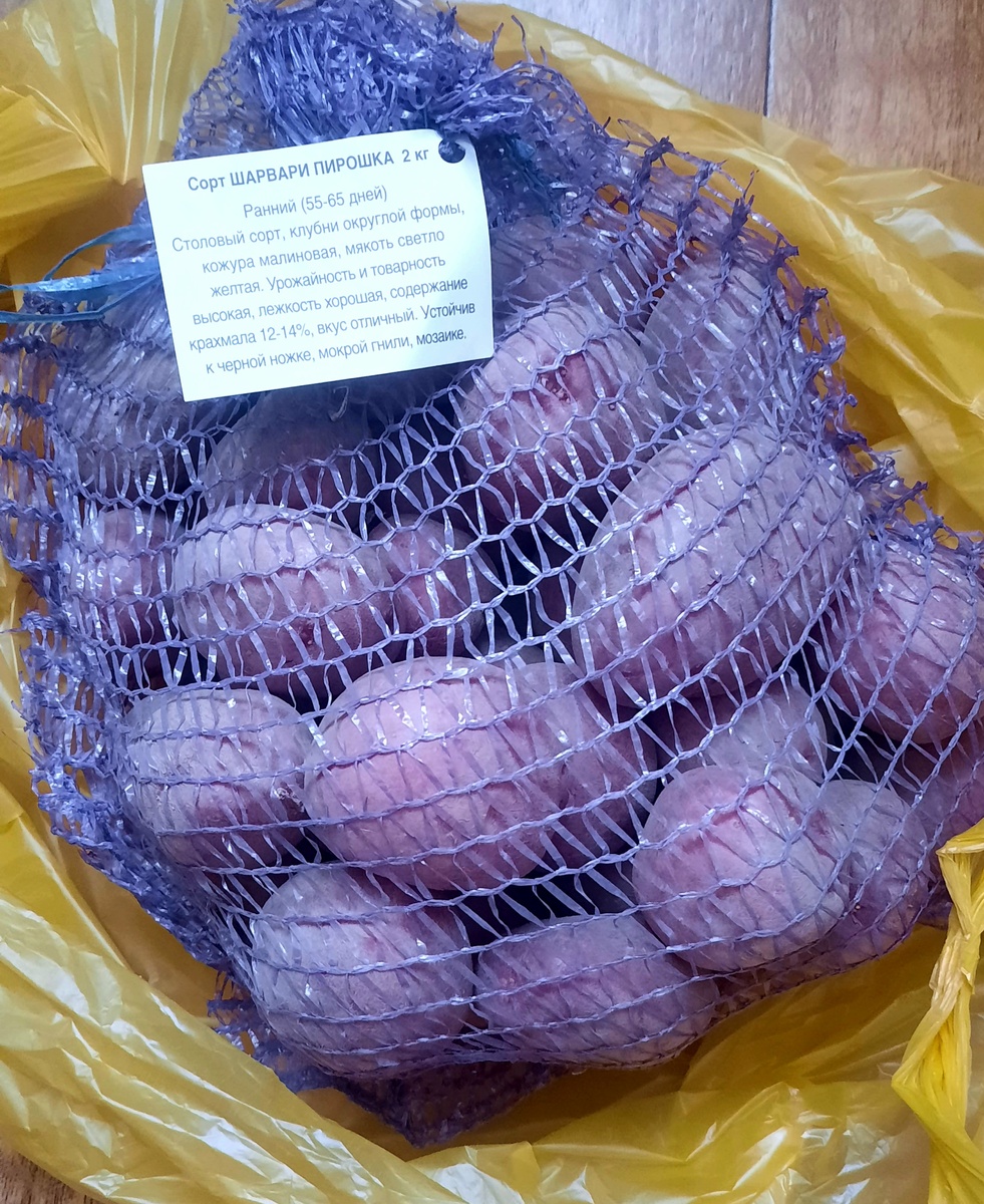 Буду пробовать в этом году этот сорт.