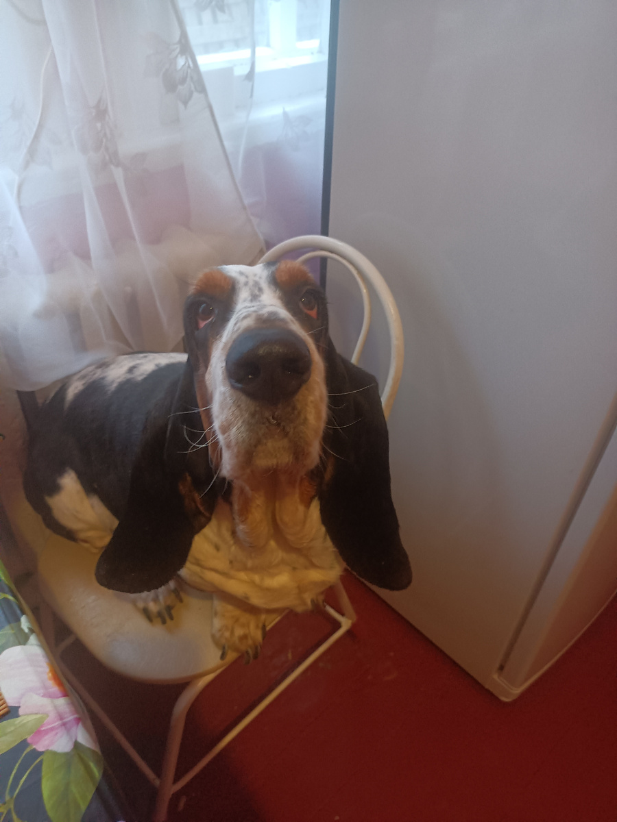 В ожидании завтрака