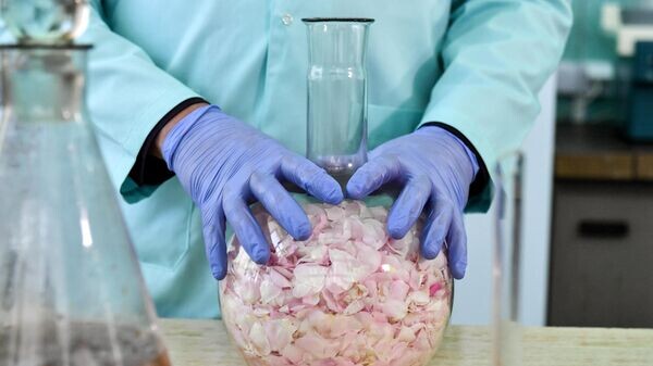    © РИА Новости . Константин Михальчевский