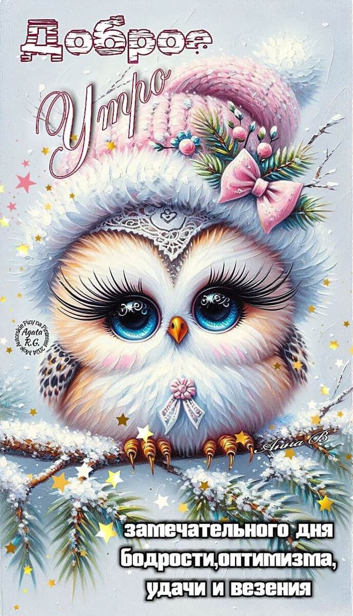 Фото из сети Интернет