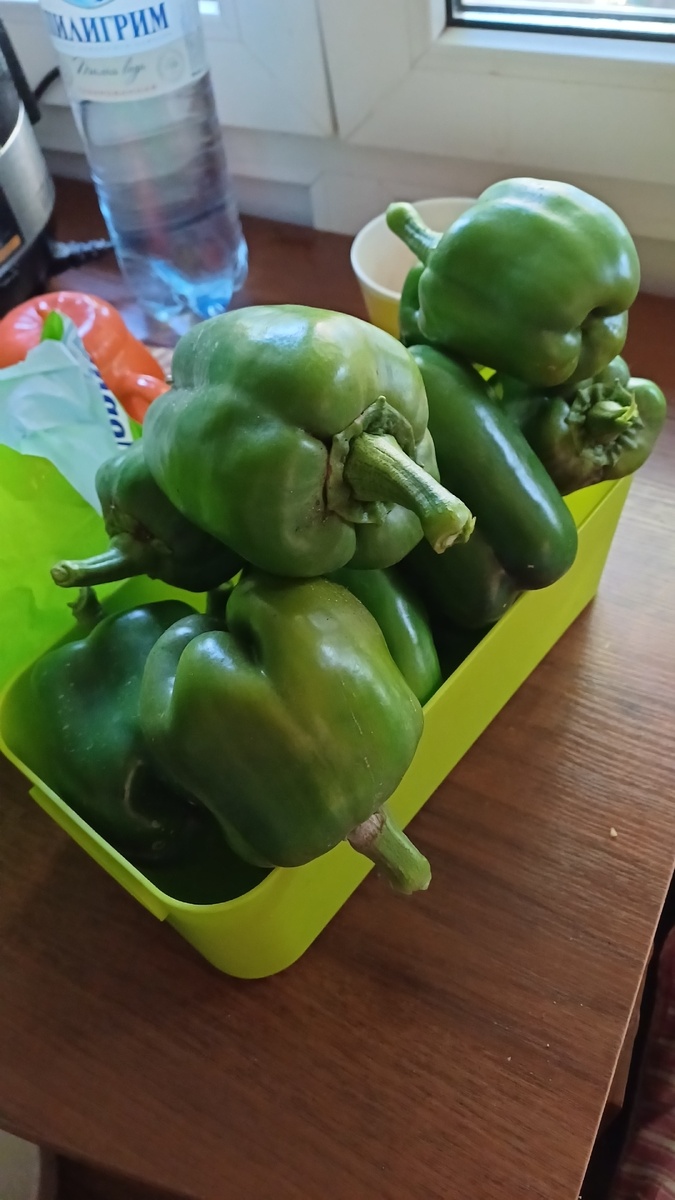 Урожай сентябрьских перцев. В рост перец пошёл когда ушла жара. До этого все завязи опадали.
