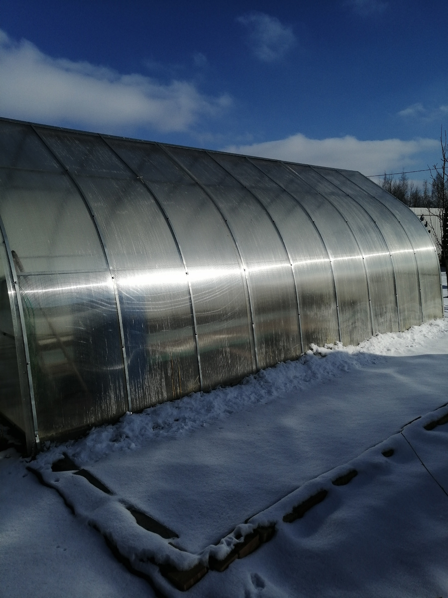 В прошлом феврале теплицу откапывала, чтобы настом не сдавило