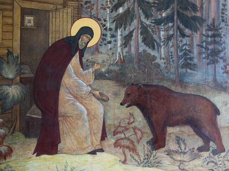 Из открытых источников сети интернет.