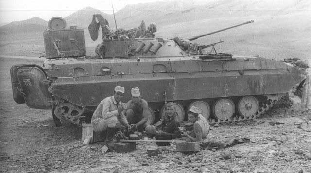 фото из интернета.