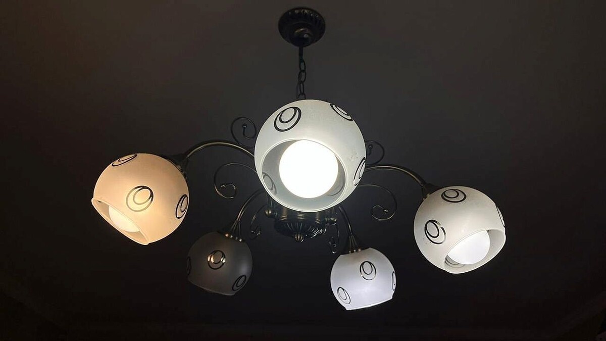    Фото: телеканал «Краснодар»