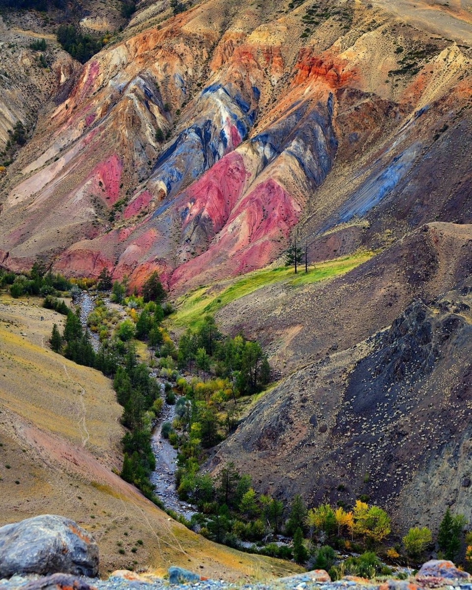 Автор фото: 📷 Светлана Мякотникова 