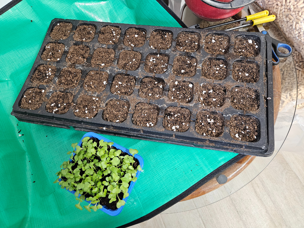 Все готово к пикировке