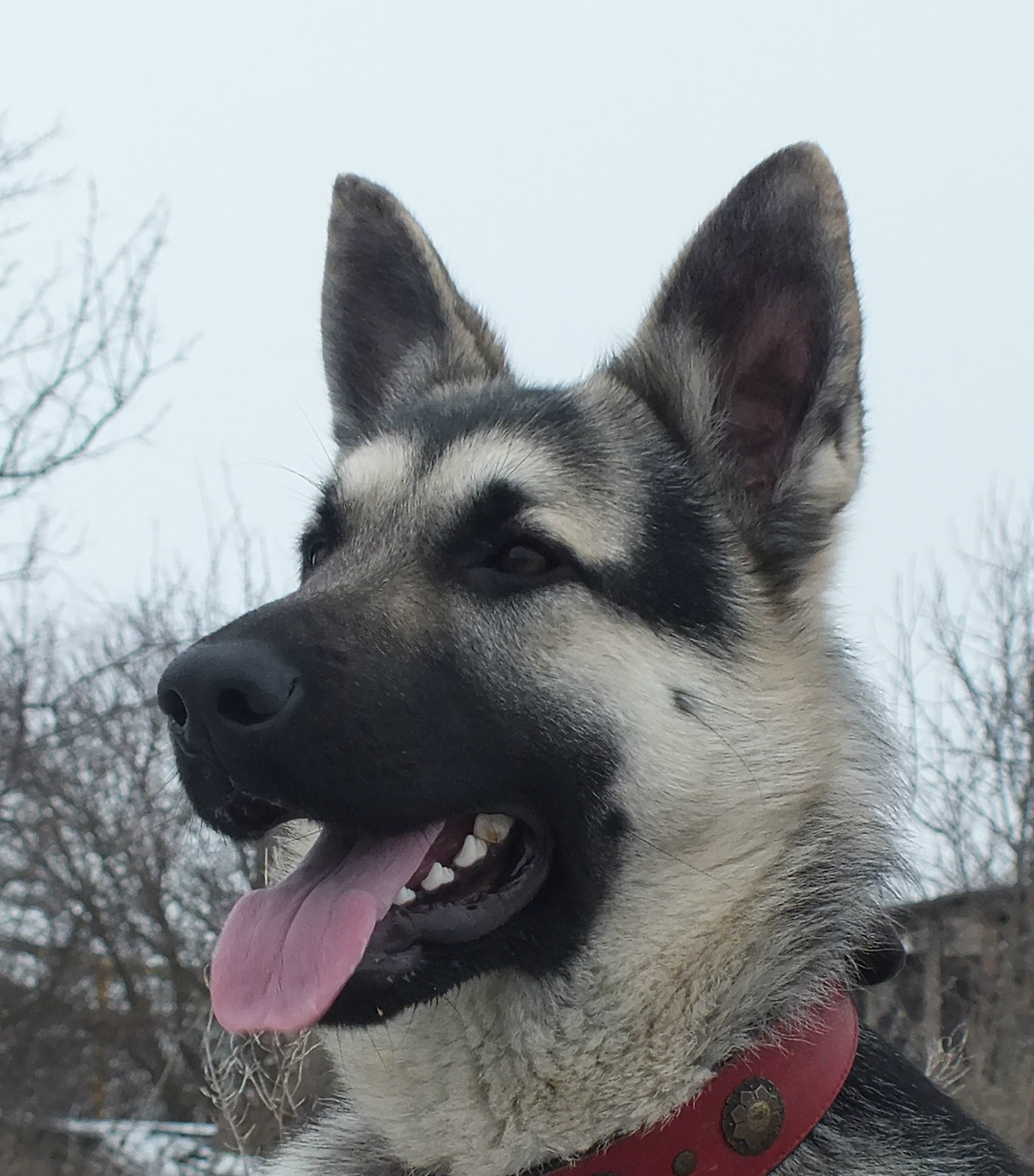 На фото: Мар Де Амор Грейс Принцеса юга