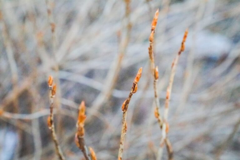    Фото: Агентство «Москва»/Сандурская Софья Екатерина Шахнина