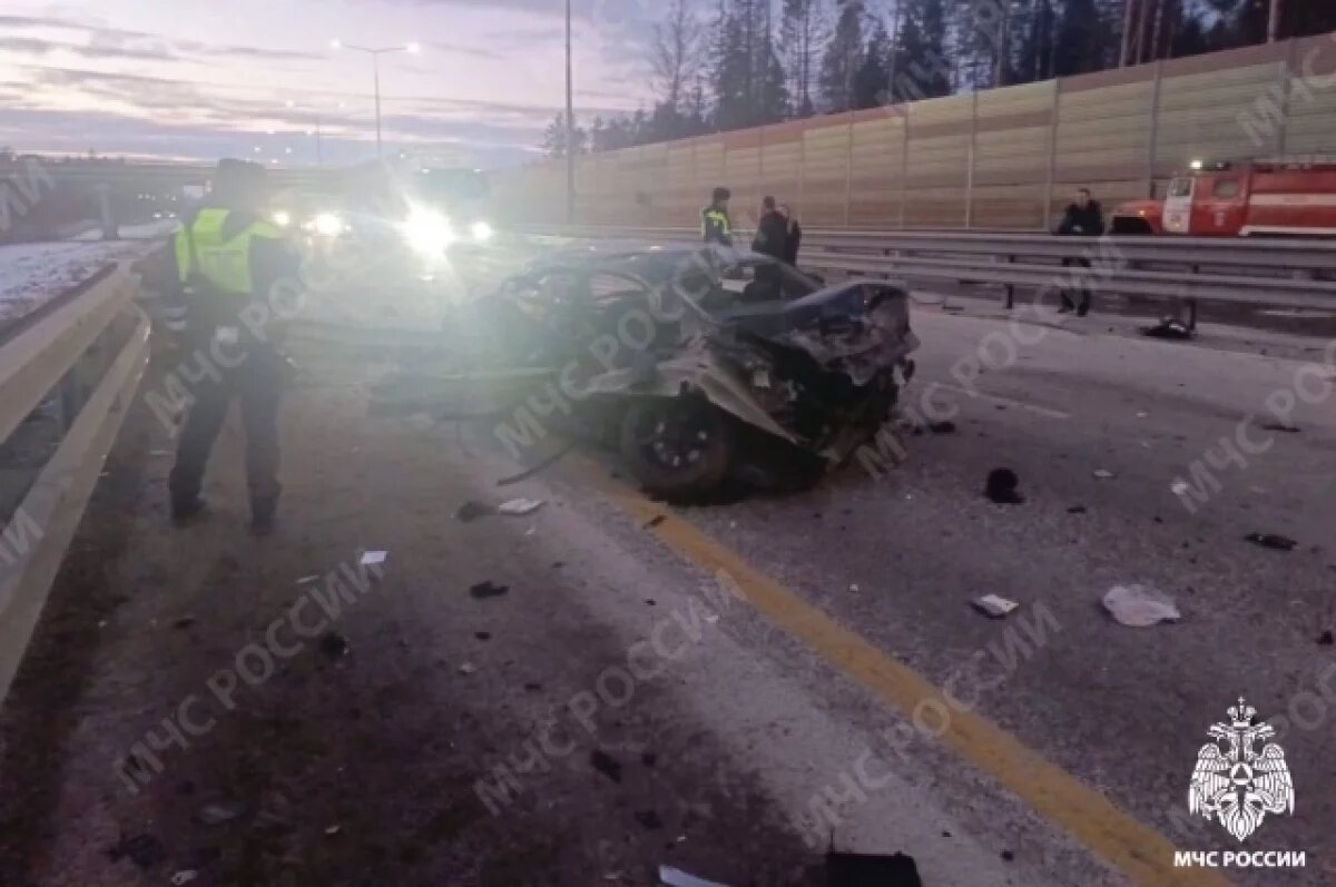    Опубликовано видео с места аварии с двумя погибшими в Тверской области