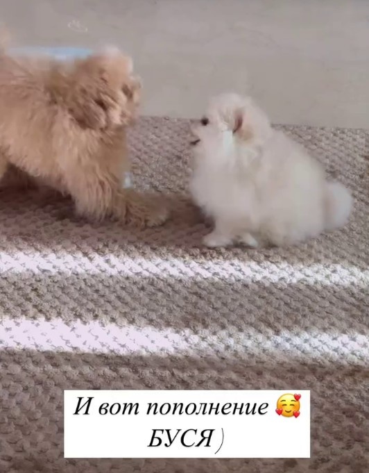    Скриншот 22-02-2025 204832