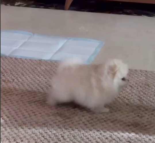    Скриншот 22-02-2025 212935