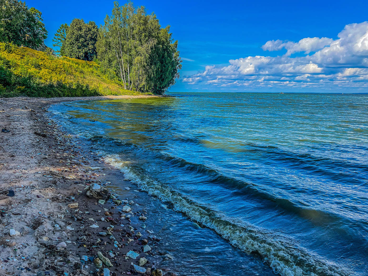 От Волги и до Кавказа - где-то на этих территориях появились первые предки индоевропейцев, давших начало огромной языковой группе