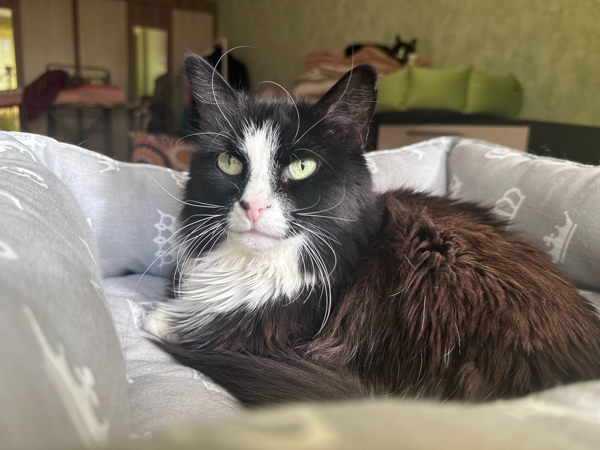 Красавица Маня собственной персоной.