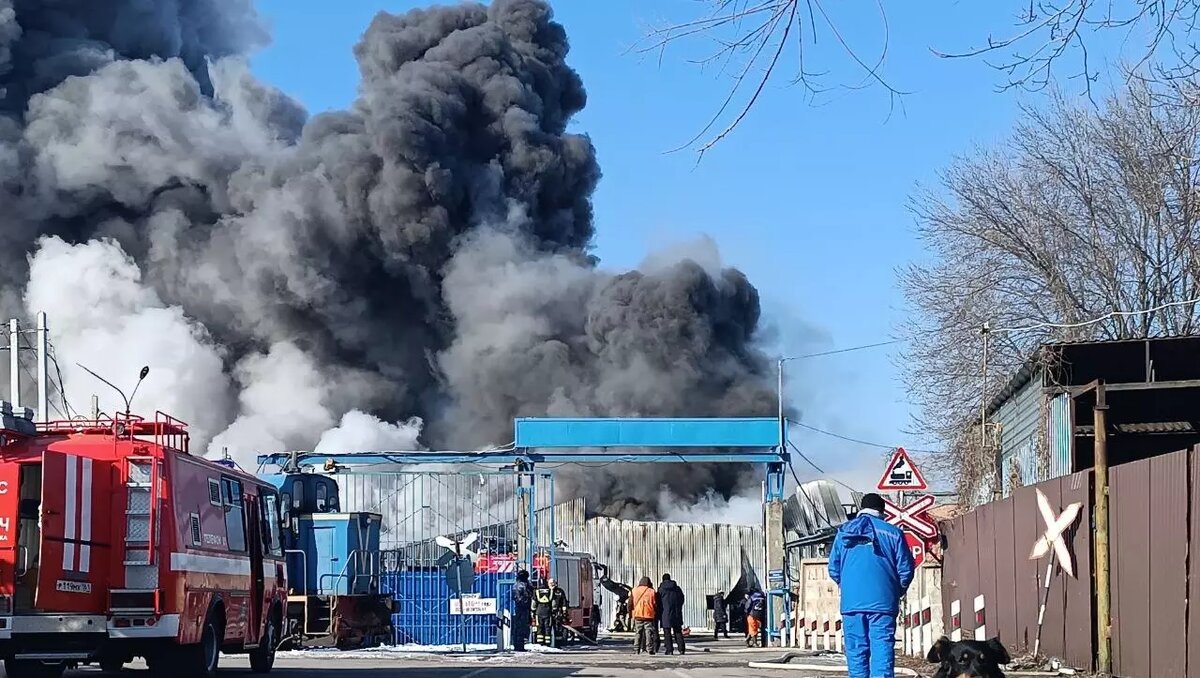     Источник: rostovgazeta.ru