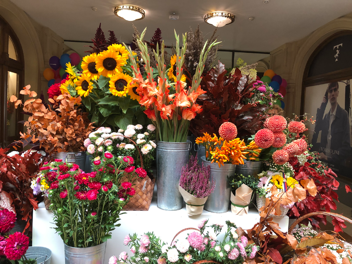 Глаза разбегаются, но выбрать можно