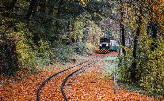 Из интернета