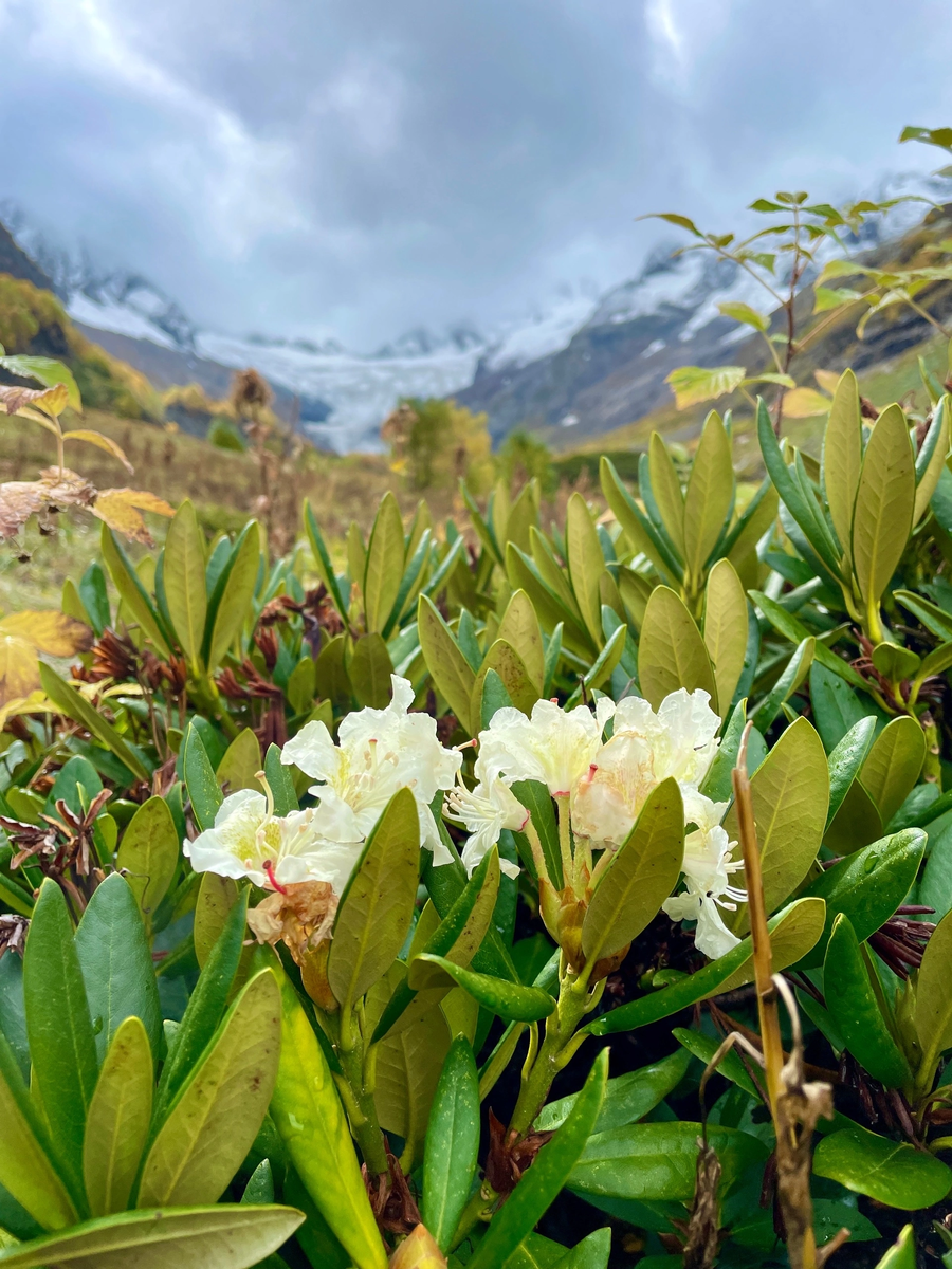 Птышское ущелье