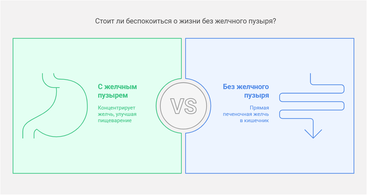 Немного занудной науки, но по-простому 🤓