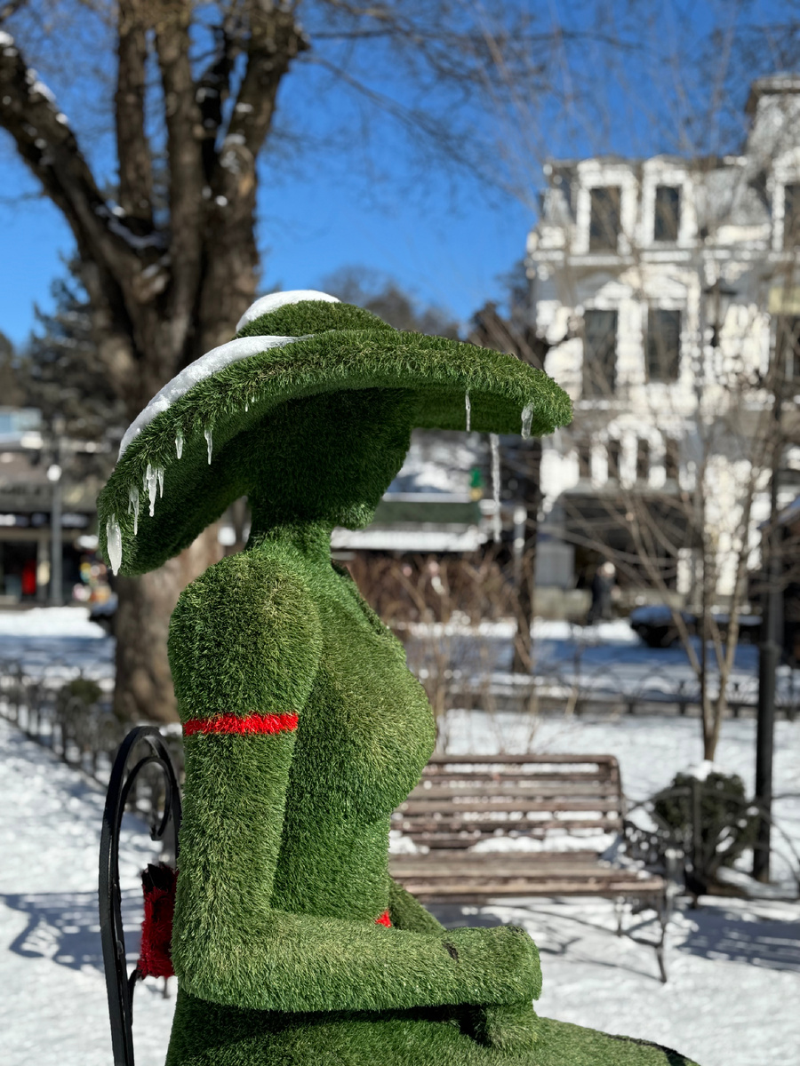 фото Сад в стиле Paradise @