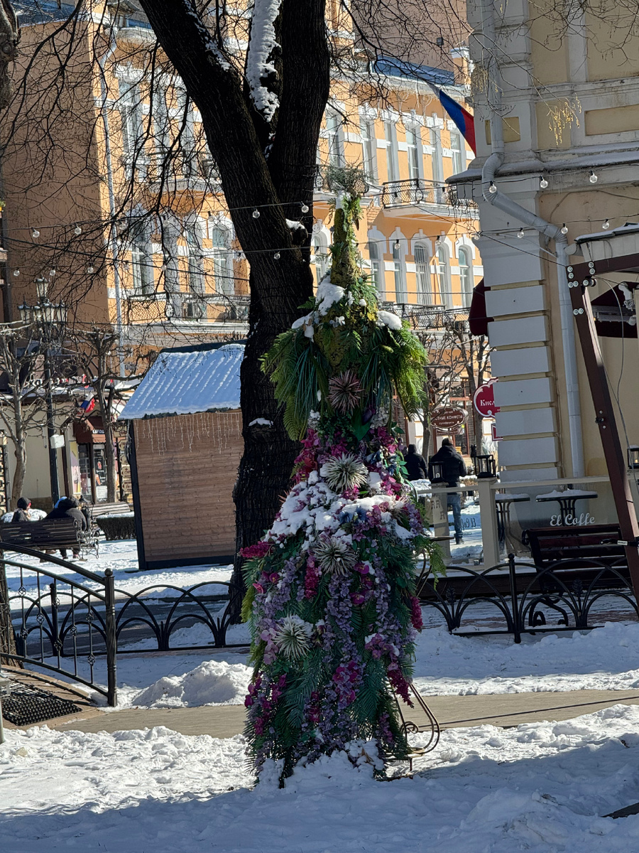 Павлин в снегу, вид сзади, фото Сад в стиле Paradise @