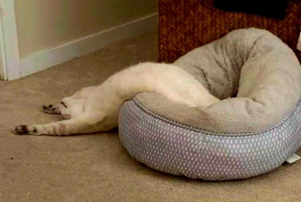 Кайф! Воскресенье-выходной! -->>>