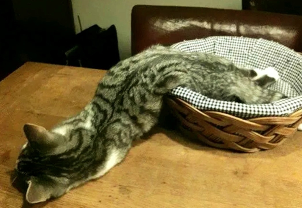 Что-то мне тут жарко стало! -->>>