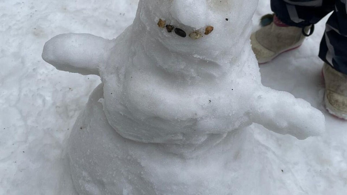    Фото: телеканал «Краснодар»