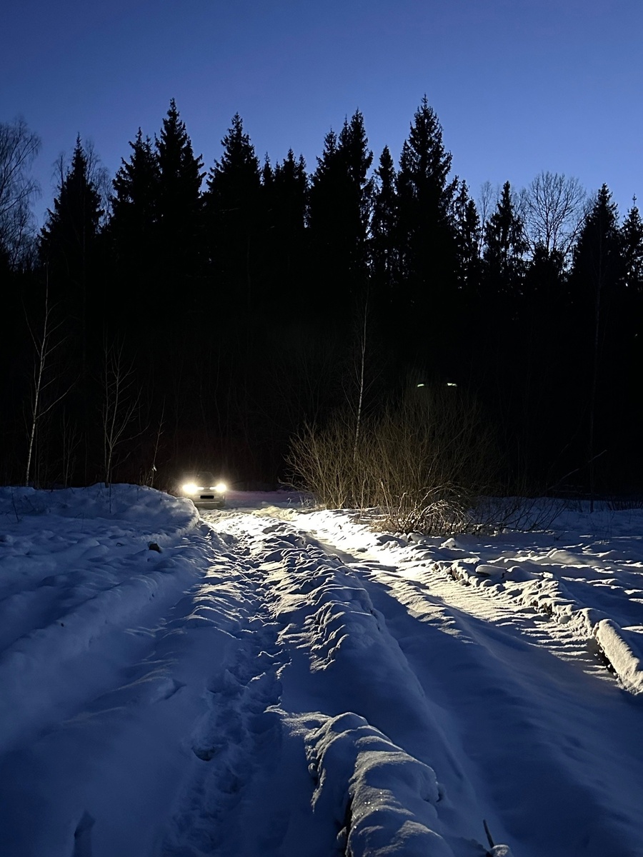 Чистим снег в лесу. Дорого.