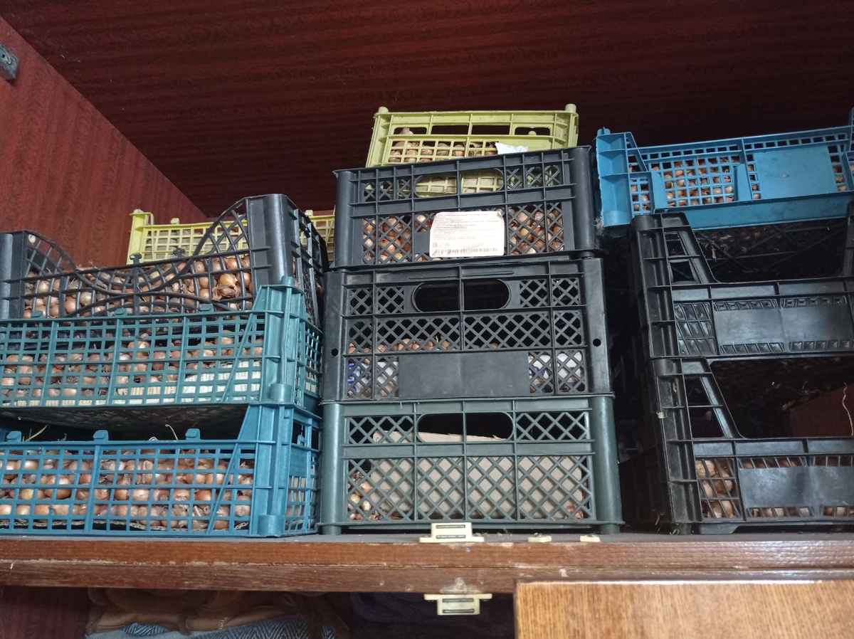 В декабре всё было хорошо