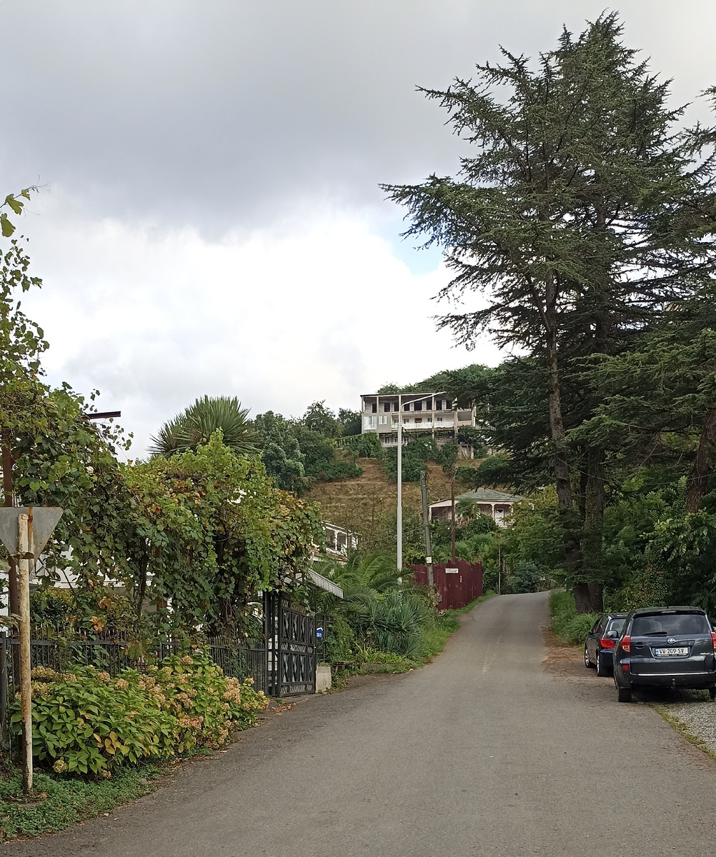 1-ый переулок Тамар Мепе в Махинджаури