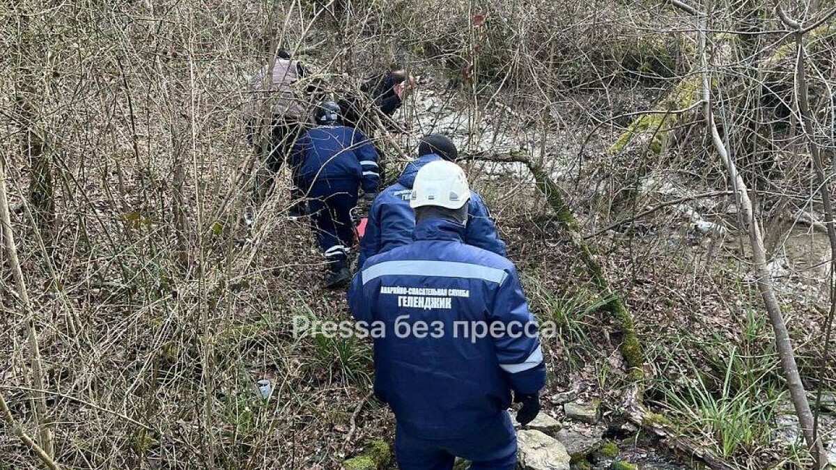 Факты о человеке примеры Девушка на квадроцикле упала в ущелье в Геленджике Телеканал "Краснодар". Мнения