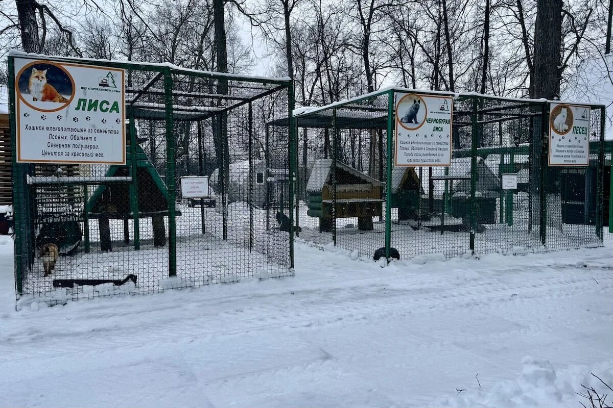 Фото: UfacityNews.ru