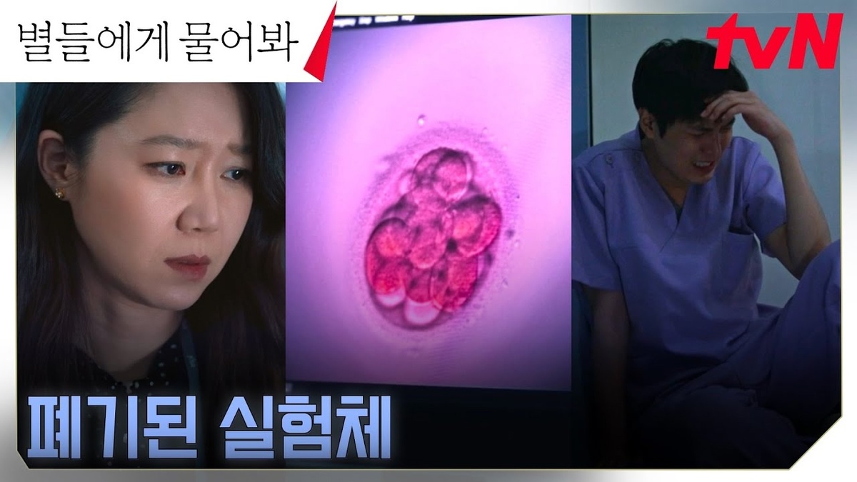 Ева, Рён и погибшая морула