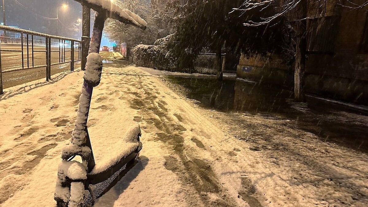    Фото: телеканал «Краснодар»