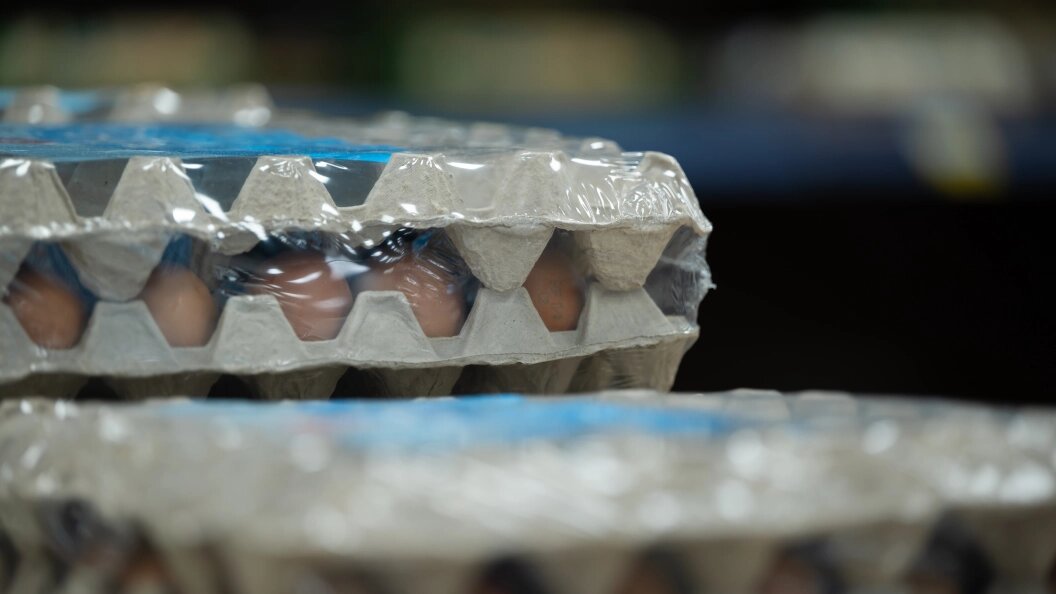    Ruslan Yarocky/URA.RU/Globallookpress