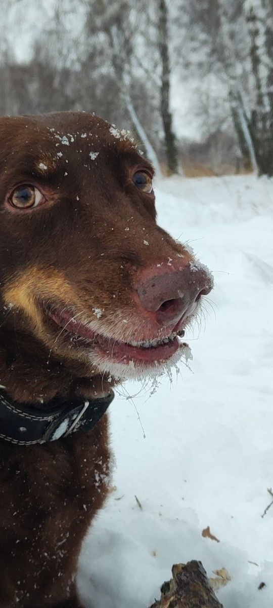 Борис Владимирович